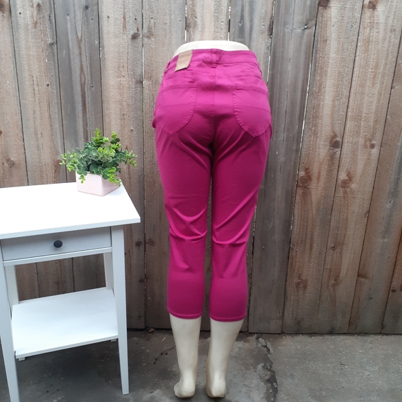 NWT Coldwater Creek Natural Fit Capri Size 14P - Picture 4 of 15